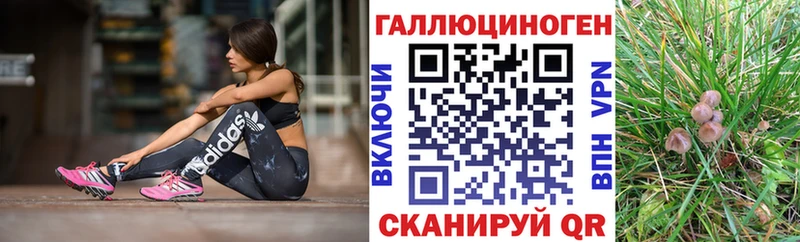 Галлюциногенные грибы мицелий  Ленск 